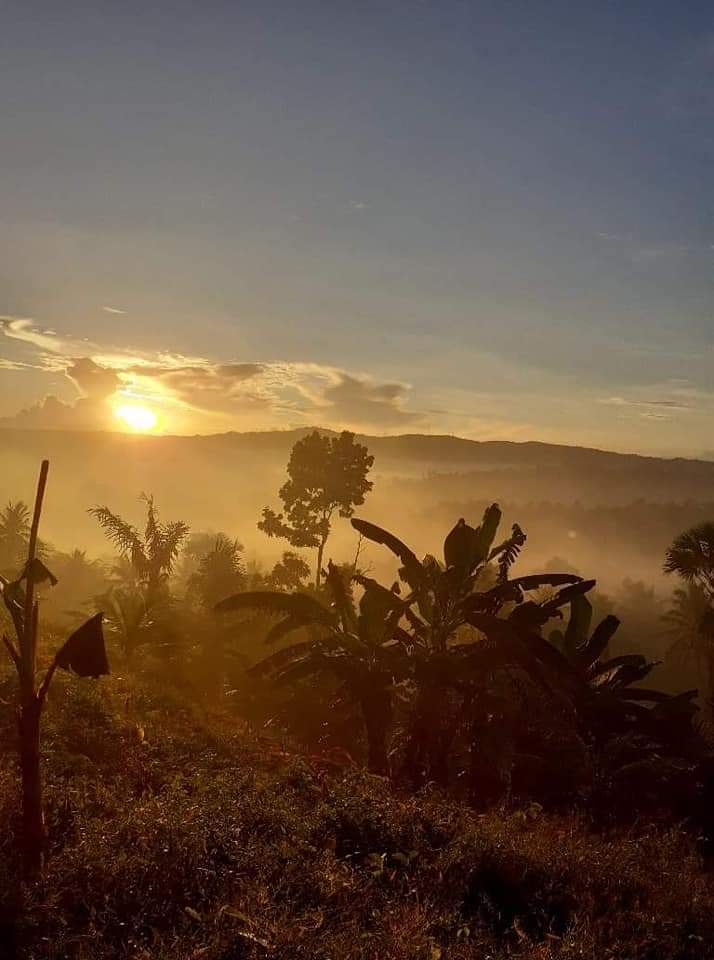 Calauag Quezon province Farmland  - photo 2