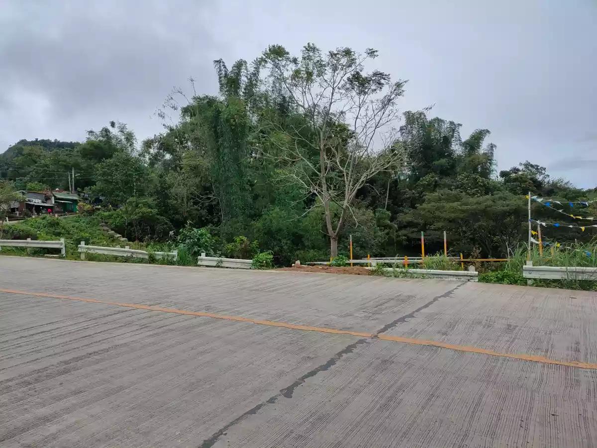 Lot along Hi-way of Transcentral Babag, Cebu City — Agricultural Lot in Apas, Cebu City, Cebu — Photo 3
