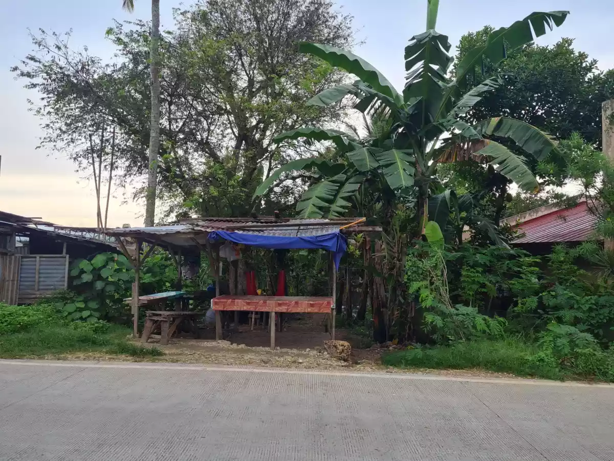 Lot  For Sale in Yati Liloan - photo 6