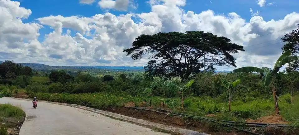 LOT FOR SALE IN BARILI, CEBU - photo 2