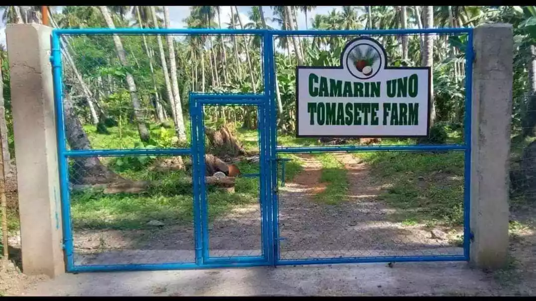 FARM LOT FOR SALE IN LUPON