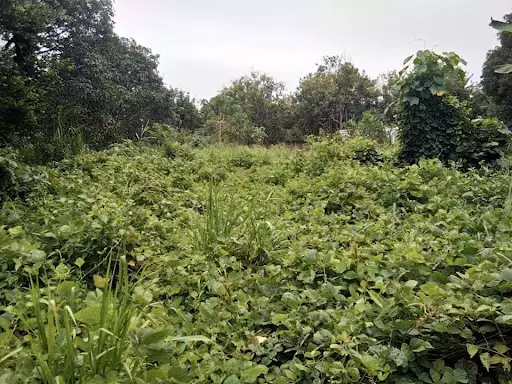 Lot for Sale in Tacunan Davao — Residential Lot in Davao del Sur, Philippines — Photo 4