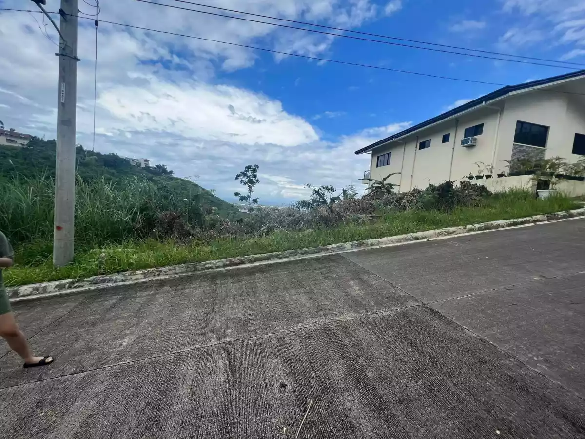 Residential lot for sale in Kishanta Subdivision, Talisay City, Cebu 300 sqm - photo 2