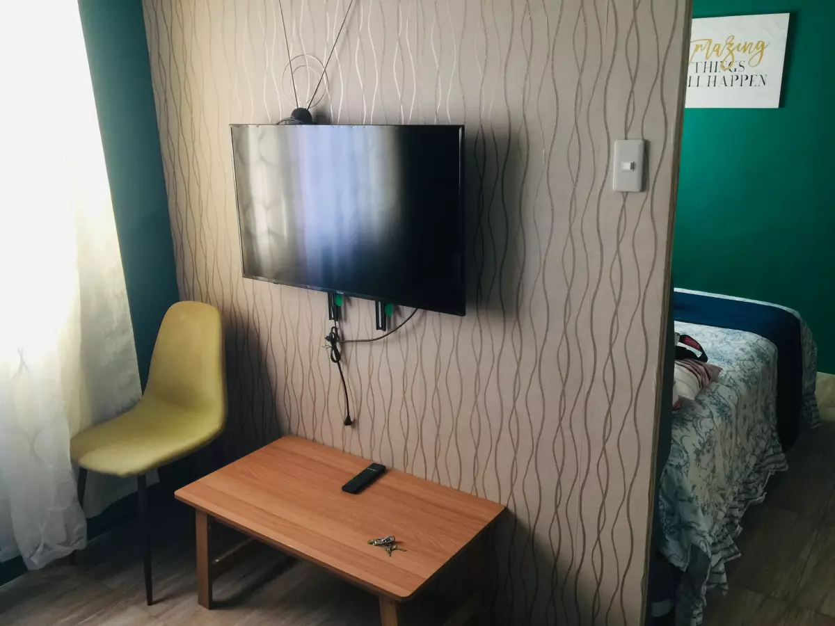 Fully Furnished Studio Unit for Rent in Apple One Banawa Heights Tower 3 - photo 5