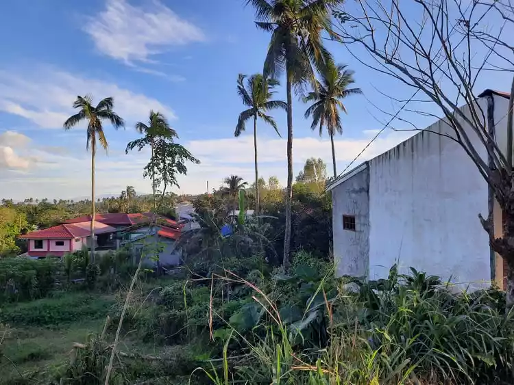 Casile Commercial Property for Sale - photo 5