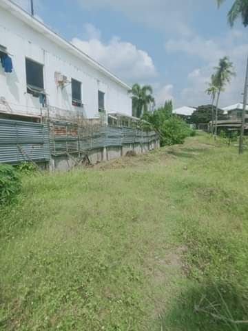 Commercial Lot - Jagobiao Mandaue City, Cebu - photo 3