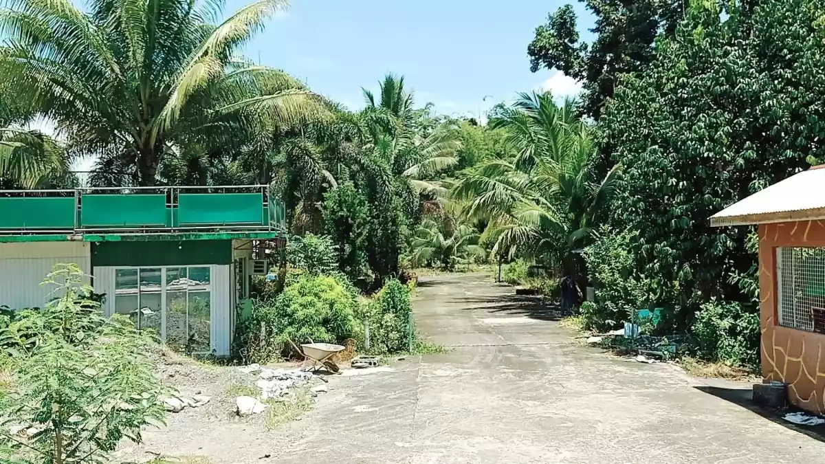Residential Lot — House and Lot in Calinan District, Davao City, Davao del Sur — Photo 5