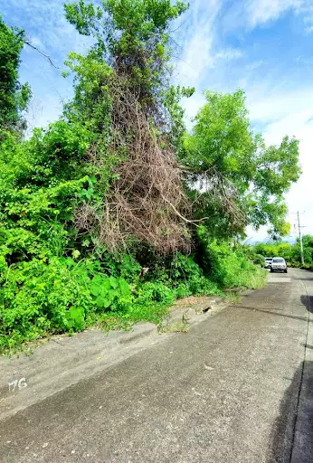Open photo 19 of 22 — Vista Grande Subdivision Lot