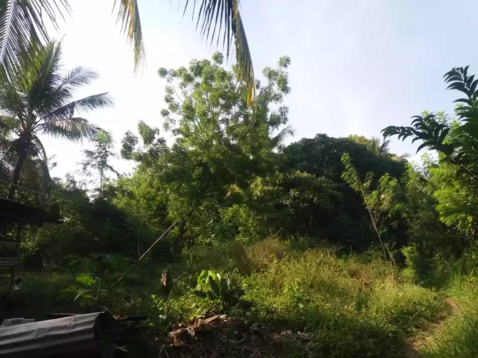 Samal Babak , Barangay Camudmud Property — Residential Lot in Babak, Island Garden City of Samal, Davao del Norte — Photo 4