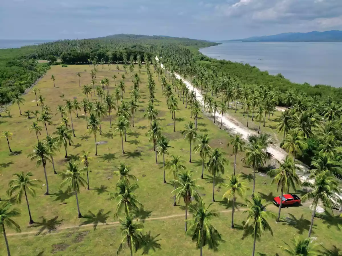 Farm and Beach lot for Sale in Quezon Province — Agricultural Lot in Quezon, Philippines — Photo 3