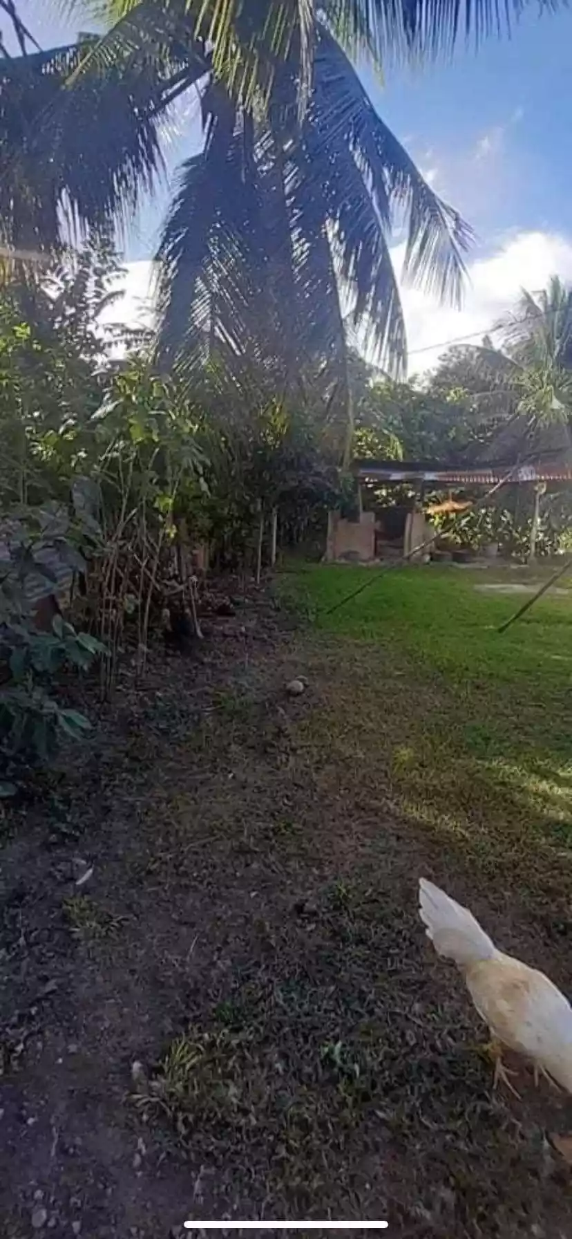 Lot for Sale - photo 7