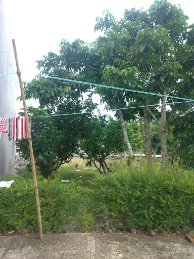 Rush Lot For Sale — Residential Lot in Camarines Sur, Philippines — Photo 3