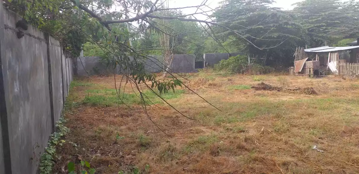 Lot for Sale : 1000 sqm with fence and gate in Morales Subdivision City Heights, GSC — Residential Lot in General Santos City, South Cotabato, Philippines — Photo 6