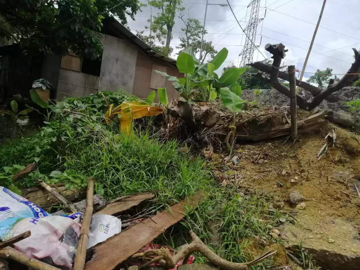 Lot for Sales along barangay Road.  - photo 5