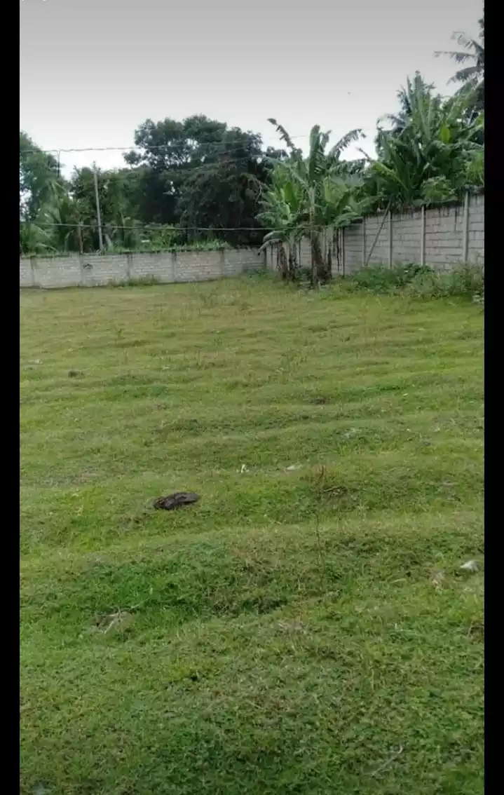 FULLY FENCED LOT FOR SALE IN BALAYAGMANOK, BACONG - photo 5