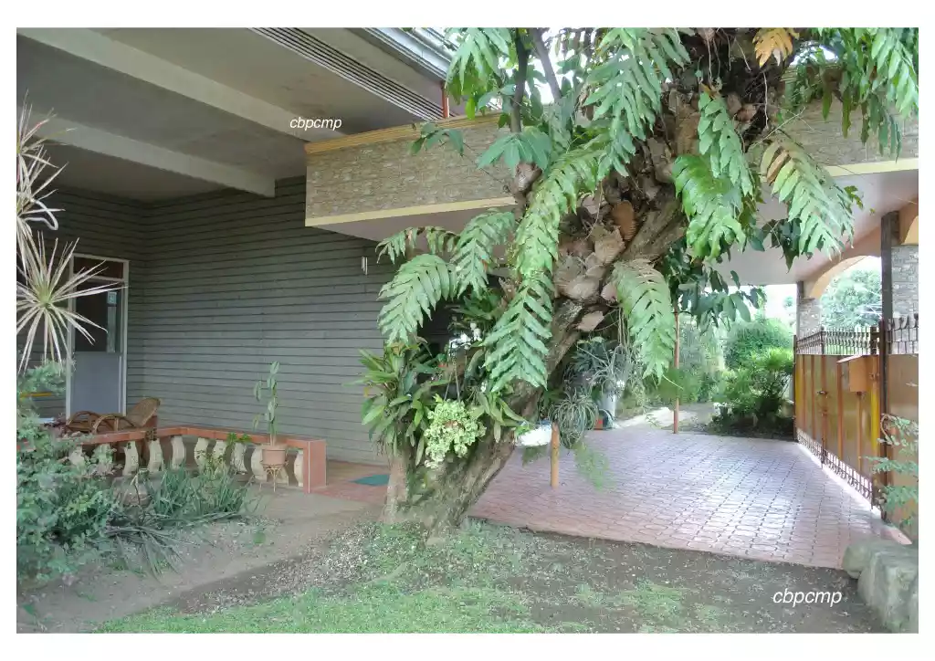 House and Lot for Sale - photo 3