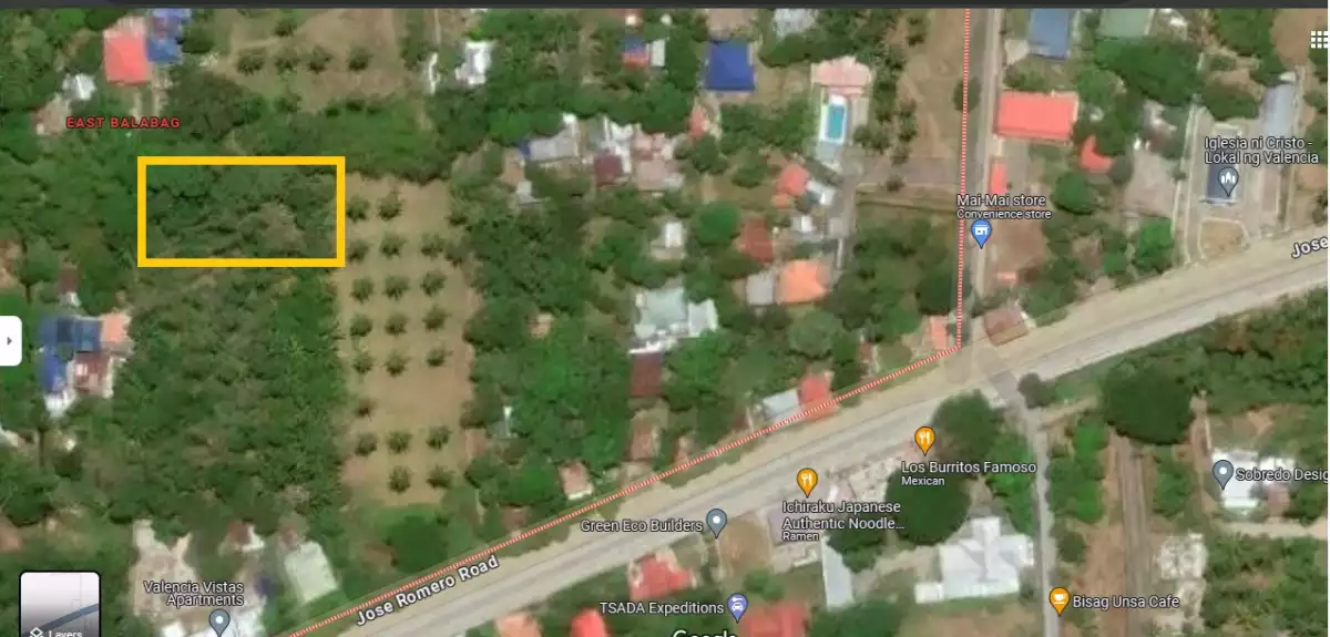 Residential Lot for Sale — Residential Lot in Valencia, Negros Oriental, Philippines — Photo 4