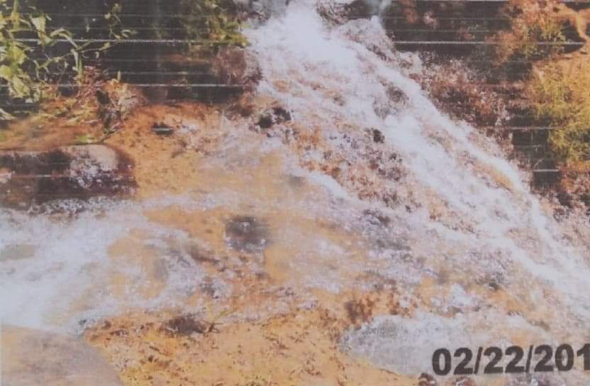 FARM LOT FOR SALE IN NAVAL, BILIRAN - photo 3