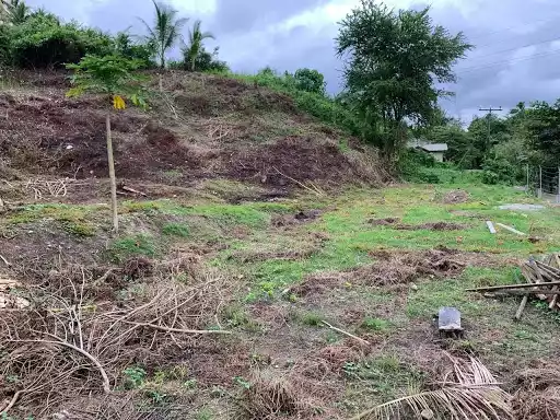 Lot for rent in langtad naga