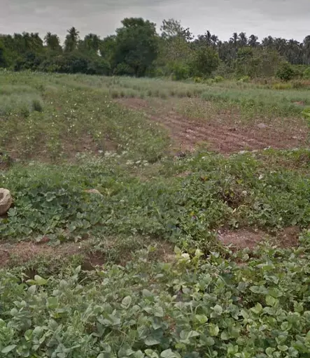 Commercial Lot in Tacunan, Davao City — Commercial Lot in Tugbok, Davao City, Davao del Sur — Photo 3