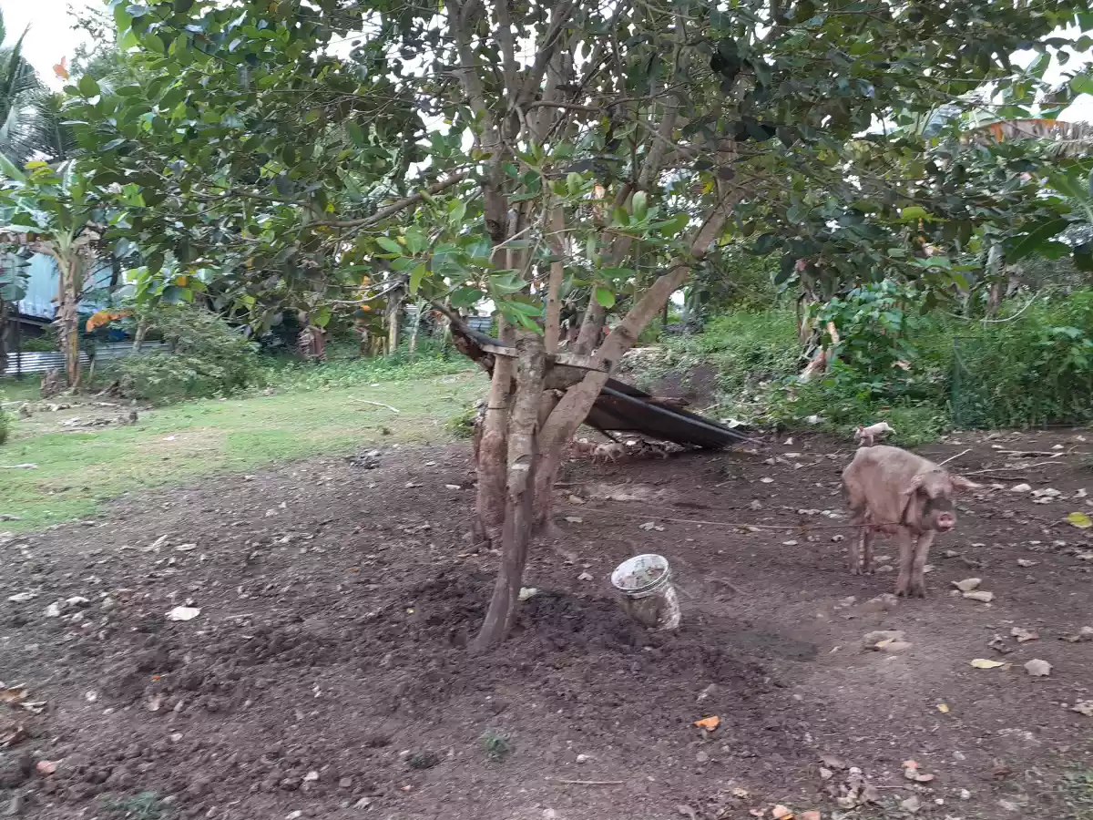 Residential Lot for sale @ indahag straight ultrawind 3,515sqm — Residential Lot in Cagayan de Oro, Misamis Oriental, Philippines — Photo 5