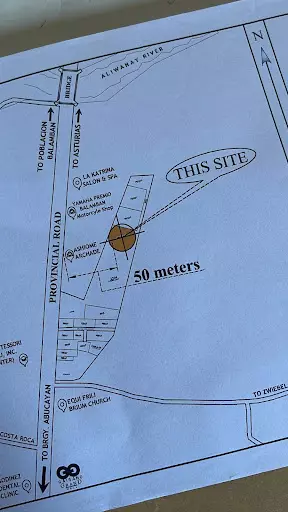 Commercial Lot For Sale in Balamban — Commercial Lot in Balamban, Cebu, Philippines — Photo 3