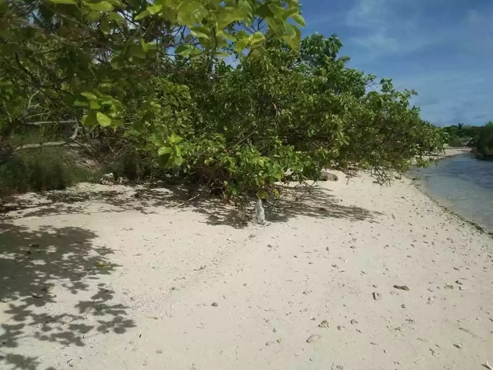 MALAPASCUA BEACH LOT FOR SALE - photo 2