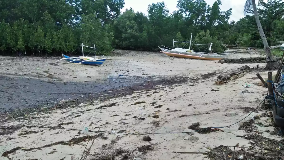 San Remegio Beach Lot for Sale - photo 3