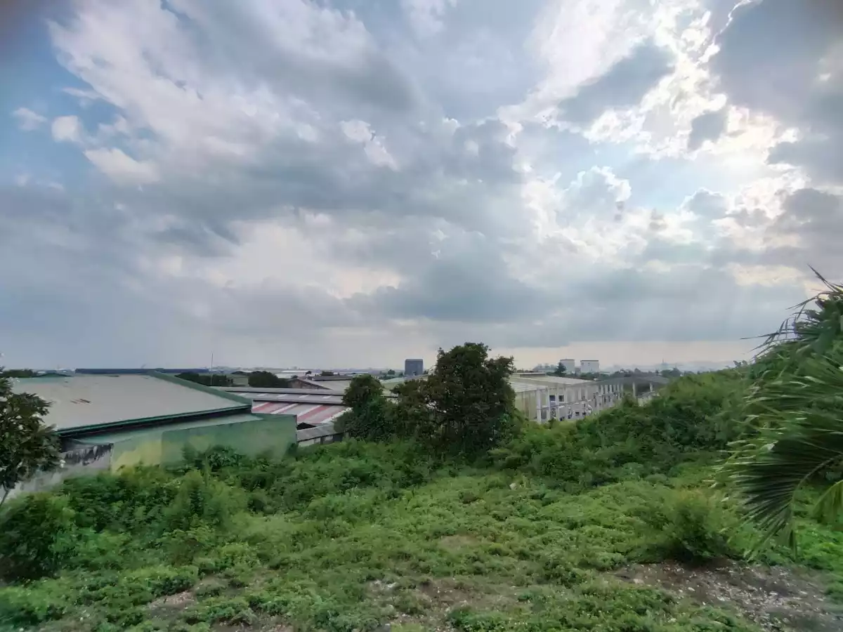 FOR SALE Lot in Tayud, Consolacion, Cebu — Agricultural Lot in Consolacion, Cebu, Philippines — Photo 2