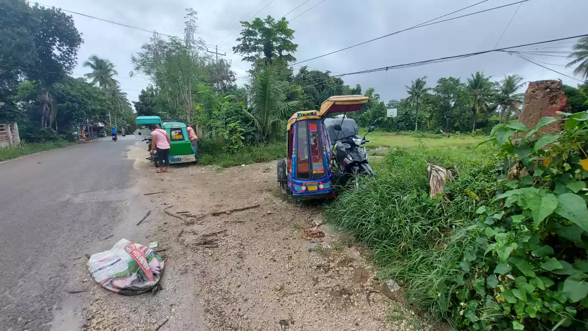 Commercial lot for sale  - photo 2