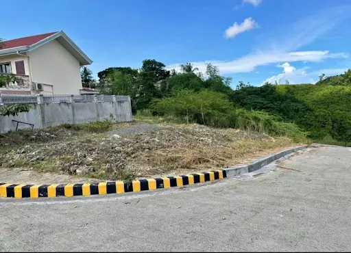 Lot for sale - photo 2
