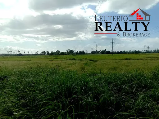 Farm Lot — Agricultural Lot in Naga, Camarines Sur, Philippines — Photo 3