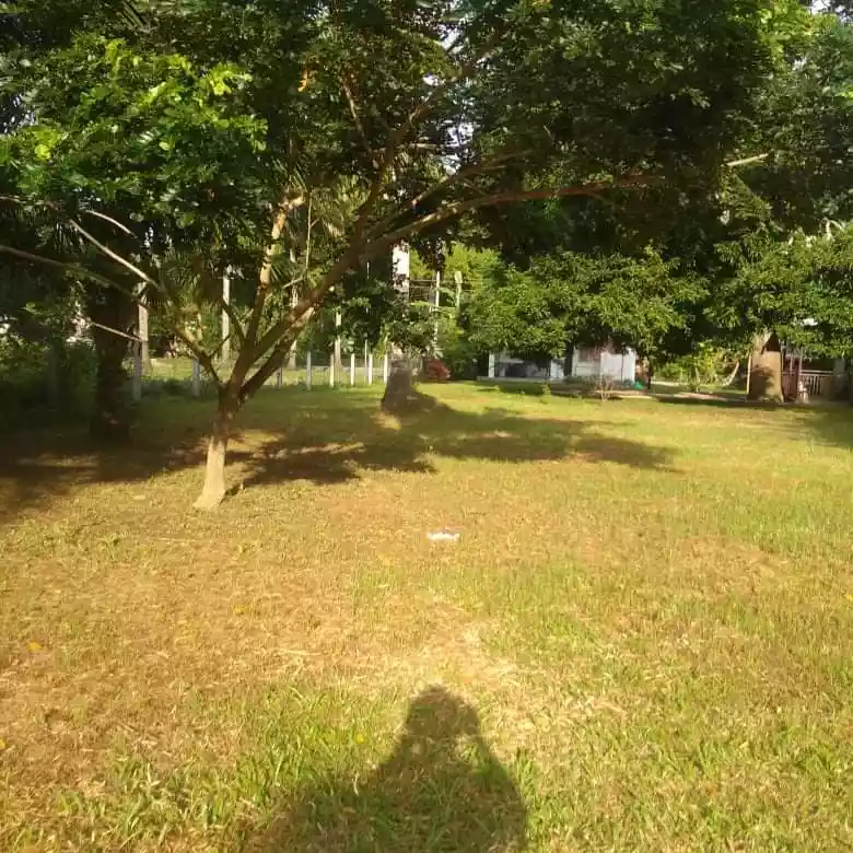 Dumaguete Farm Land for Sale — Residential Lot in Negros Oriental, Philippines — Photo 6