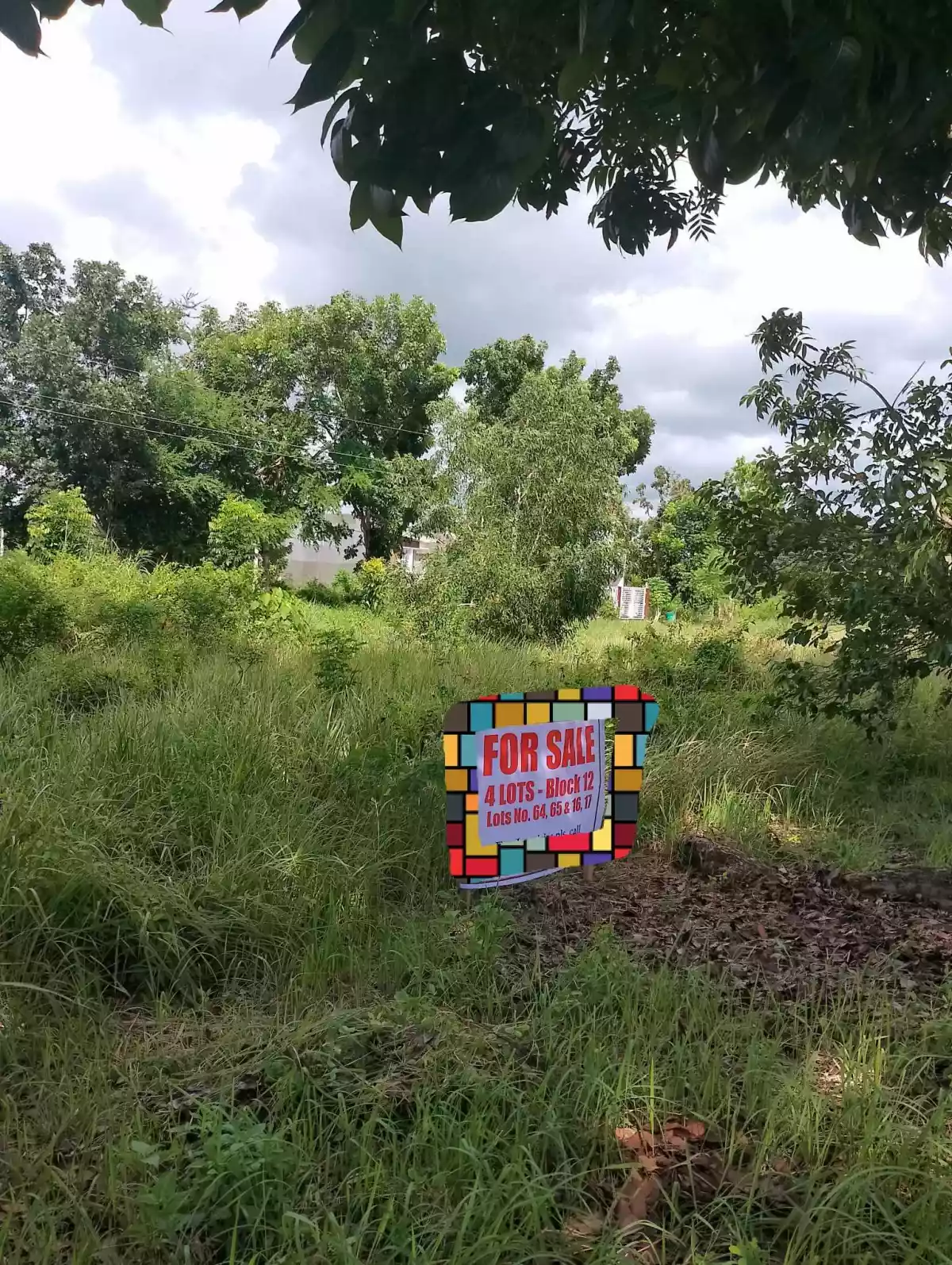 SUBDIVISION LOT FOR SALE - photo 5