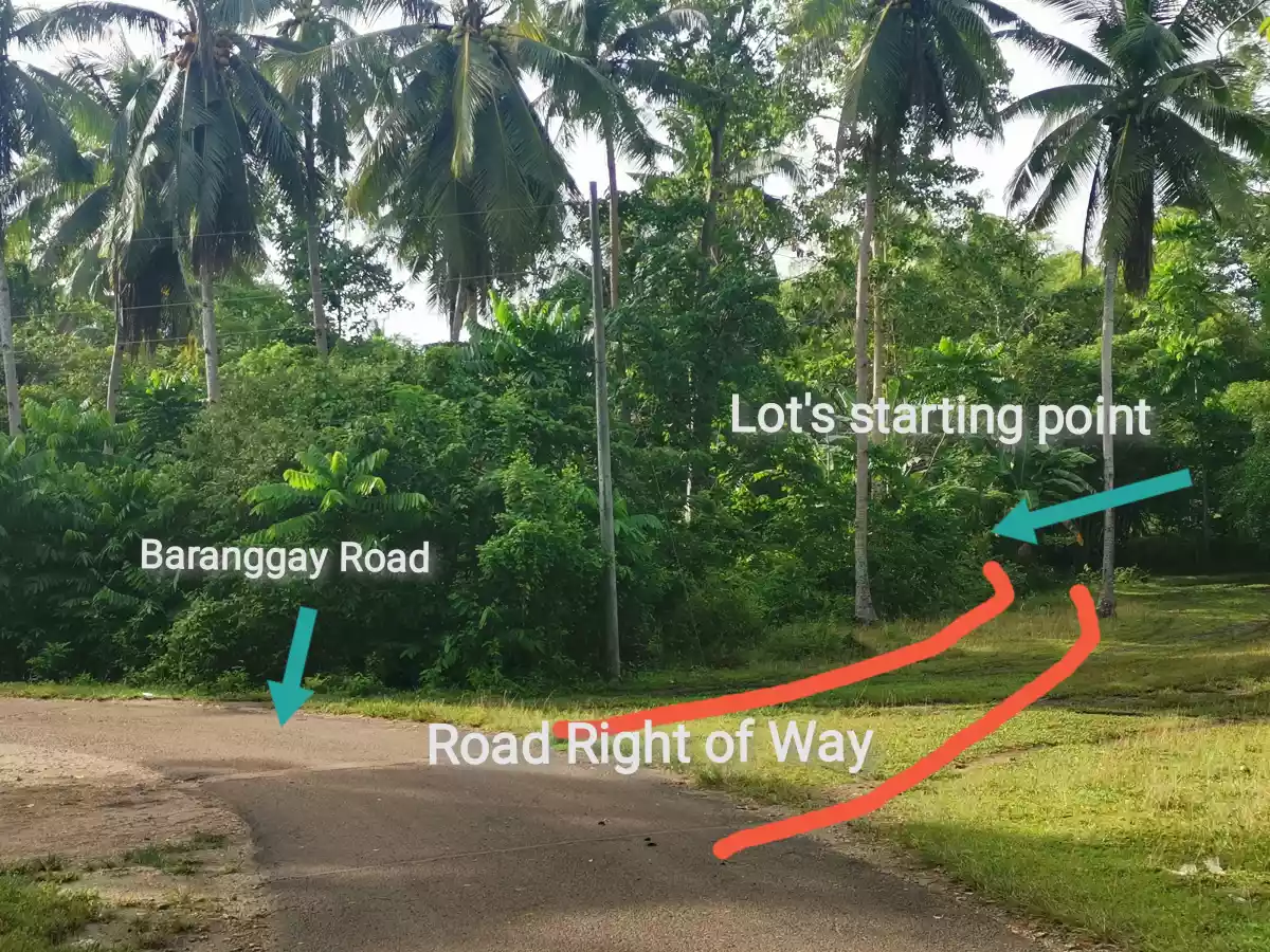 Residential Lot For Sale — Residential Lot in Dauis, Bohol, Philippines — Photo 4