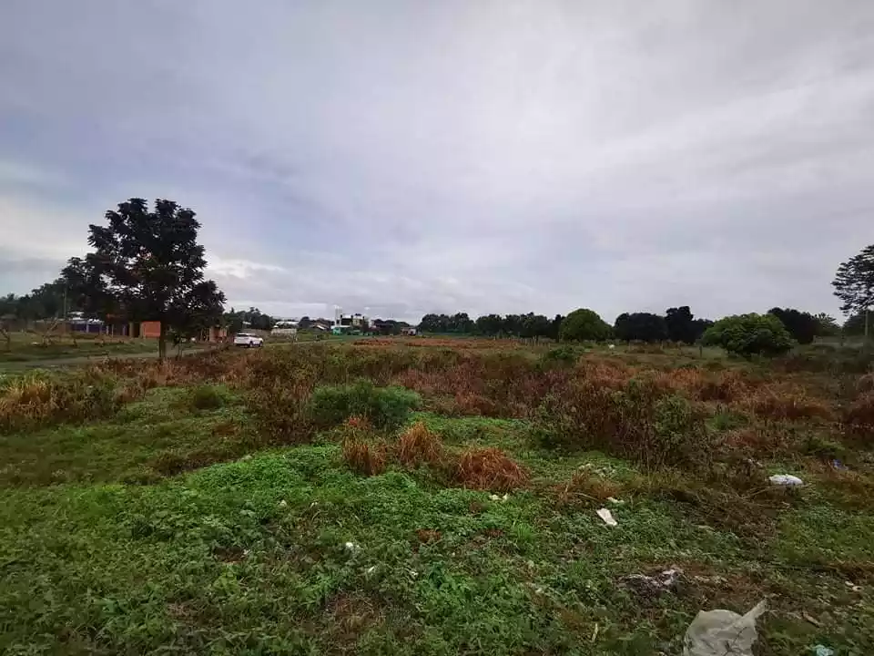 841 SQM Prime Property Along Diversion Rd - photo 3