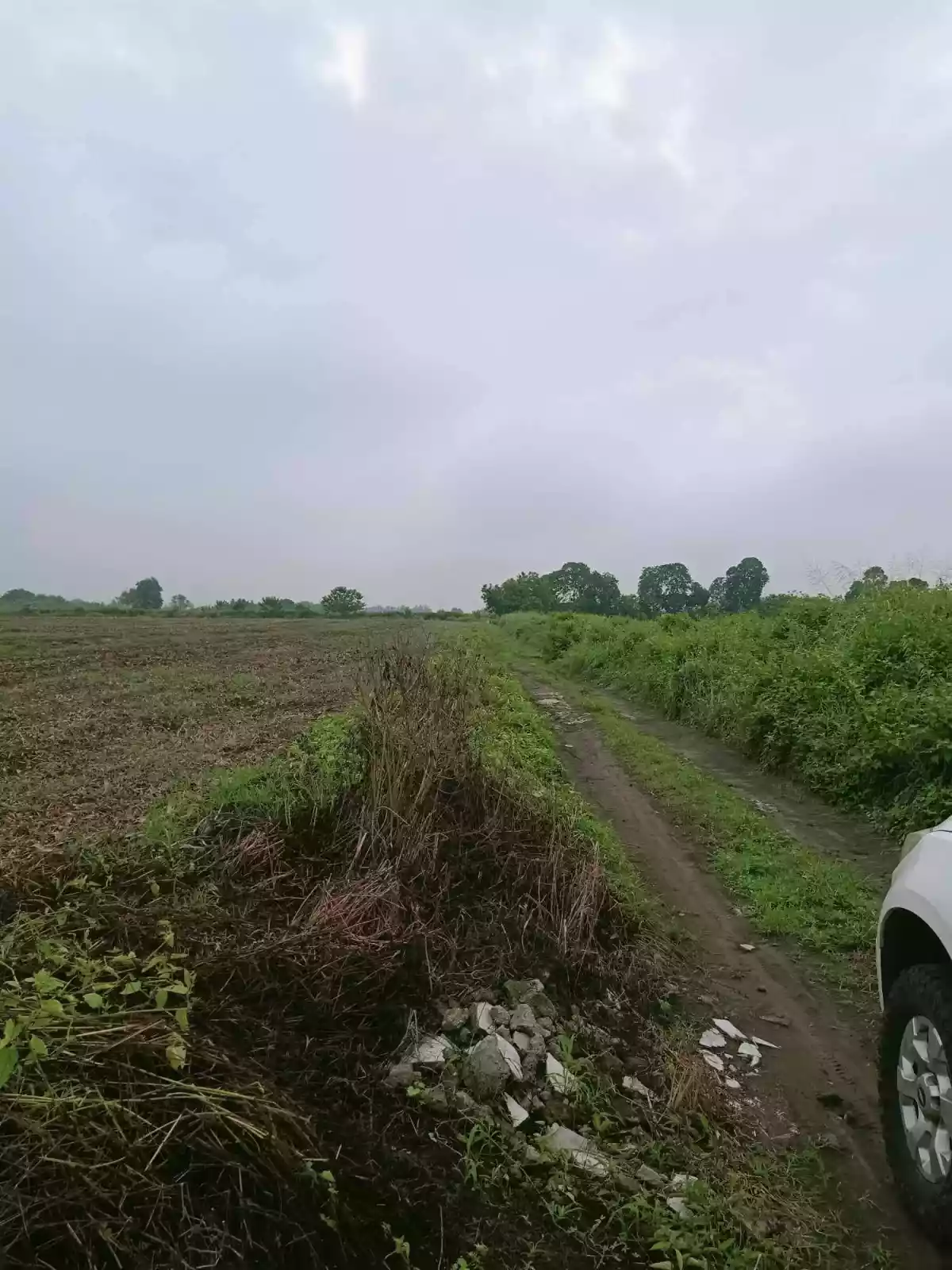 Farm lot — Agricultural Lot in South Cotabato, Philippines — Photo 4