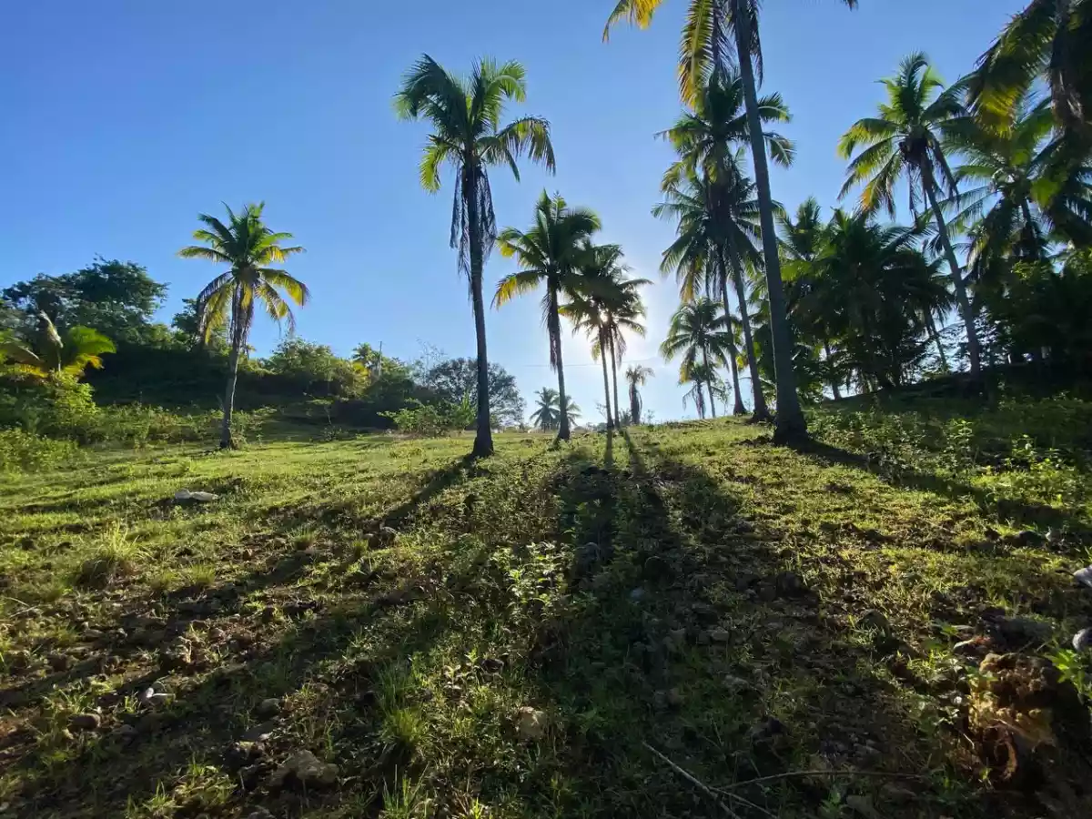 Open photo 16 of 27 — Over Looking LOT FOR SALE along Brgy Road Bayanga, Cagayan de Oro City
