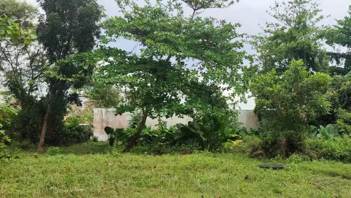 BOGO PROPERTY - photo 2