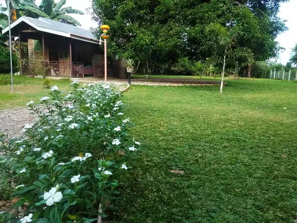Dumaguete Farm Land for Sale — Residential Lot in Negros Oriental, Philippines — Photo 3