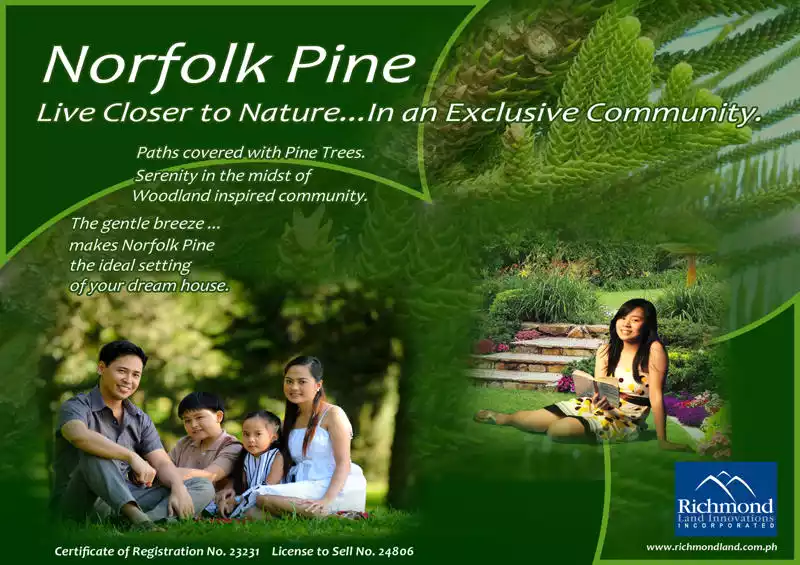 Corner Lot at Norfolk Pine Subdivision in General Santos