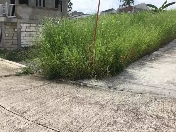 Residential Lot for Sale in San Vicente Liloan, Cebu - photo 2