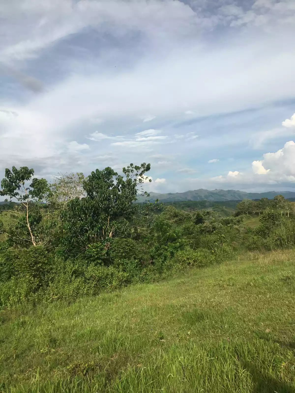 Pualas Near Hidden Valley Property — Agricultural Lot in Baungon, Bukidnon, Philippines — Photo 6