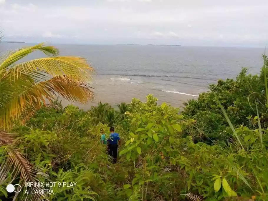 BEACHFRONT LOT FOR SALE IN SOCORRO, SIARGAO ISLANDS - photo 5