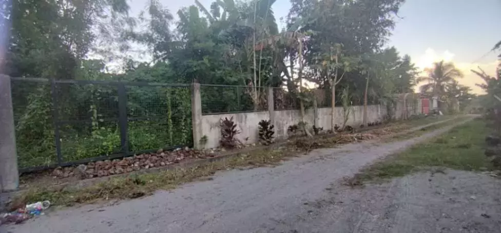 For Sale: 600 sqm Lot in Brgy. Pag Asa, Cannery Polomolok, South Cotabato – Ideal for Home Build — Residential Lot in Cannery Site, Polomolok, South Cotabato — Photo 2