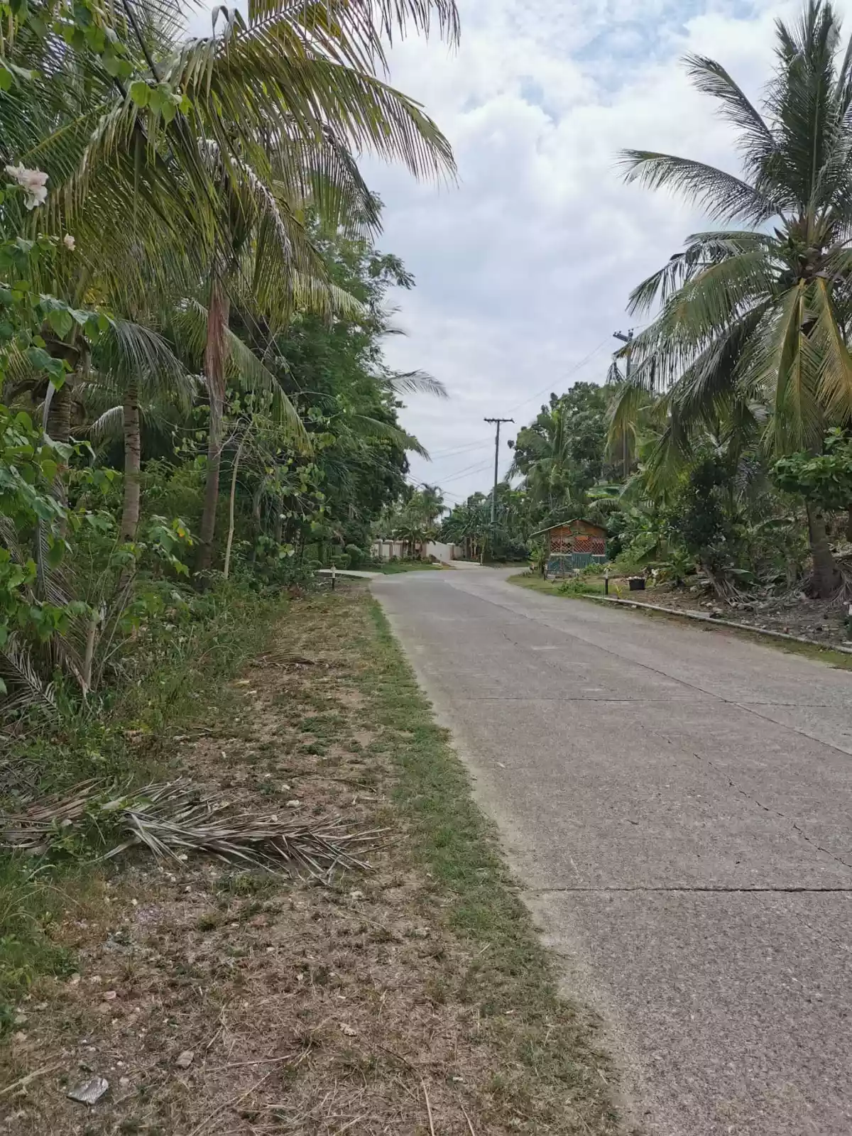 Beach Lot in Tabogon Cebu - photo 5