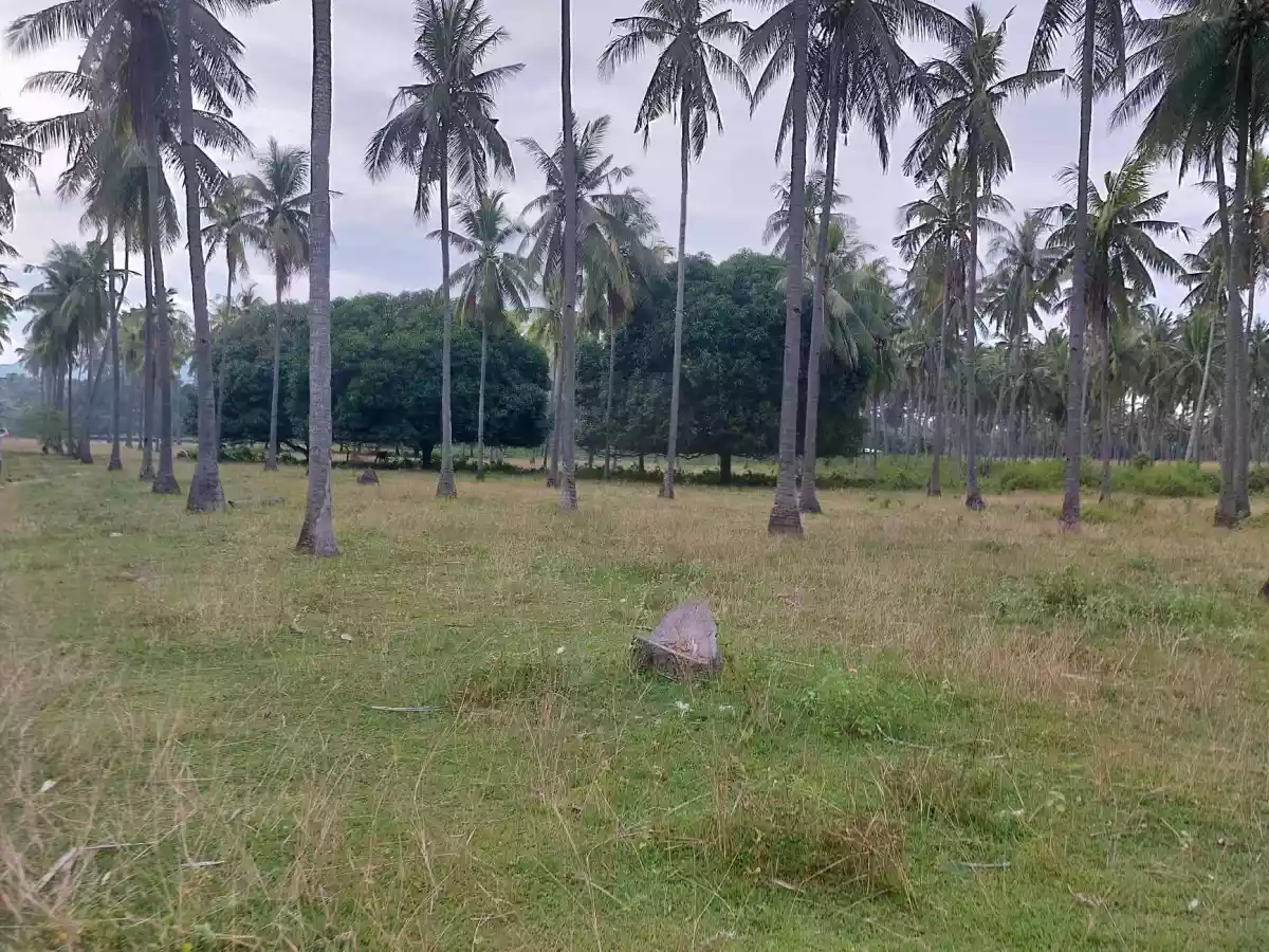 LOT FOR SALE - photo 2