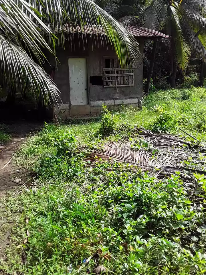 Residential Lot for Sale Compostela, Cebu - photo 3
