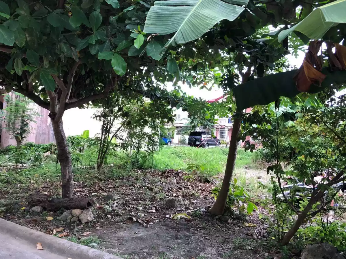 Pacific Grand Villa Lot Only Forsale!! — Residential Lot in M.L. Quezon National Highway, Lapu-Lapu City, Cebu — Photo 6