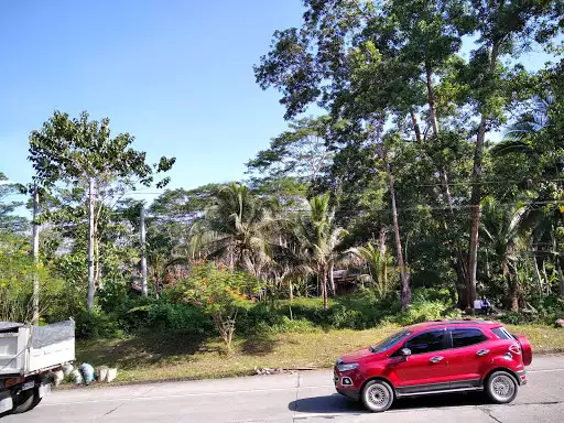 Most Affordable Farm Lot in Agusan del Sur — Agricultural Lot in Agusan del Sur, Philippines — Photo 6